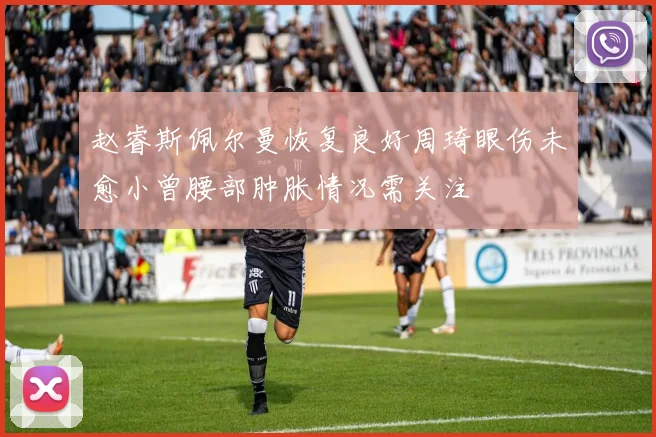 赵睿斯佩尔曼恢复良好周琦眼伤未愈小曾腰部肿胀情况需关注